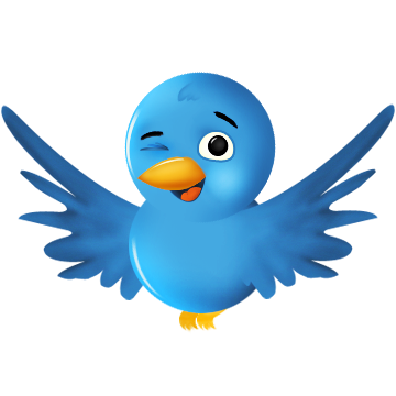 Twitter Platincam